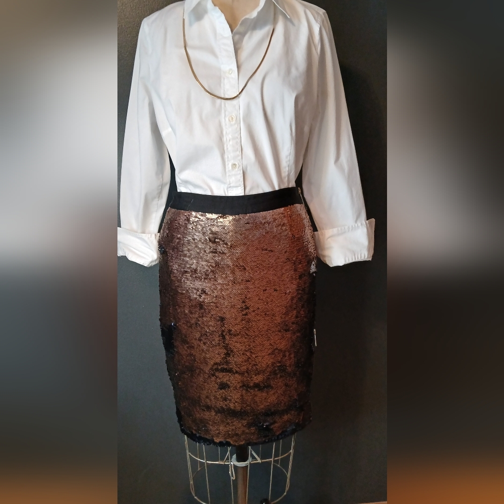 Ted Baker London Skirt